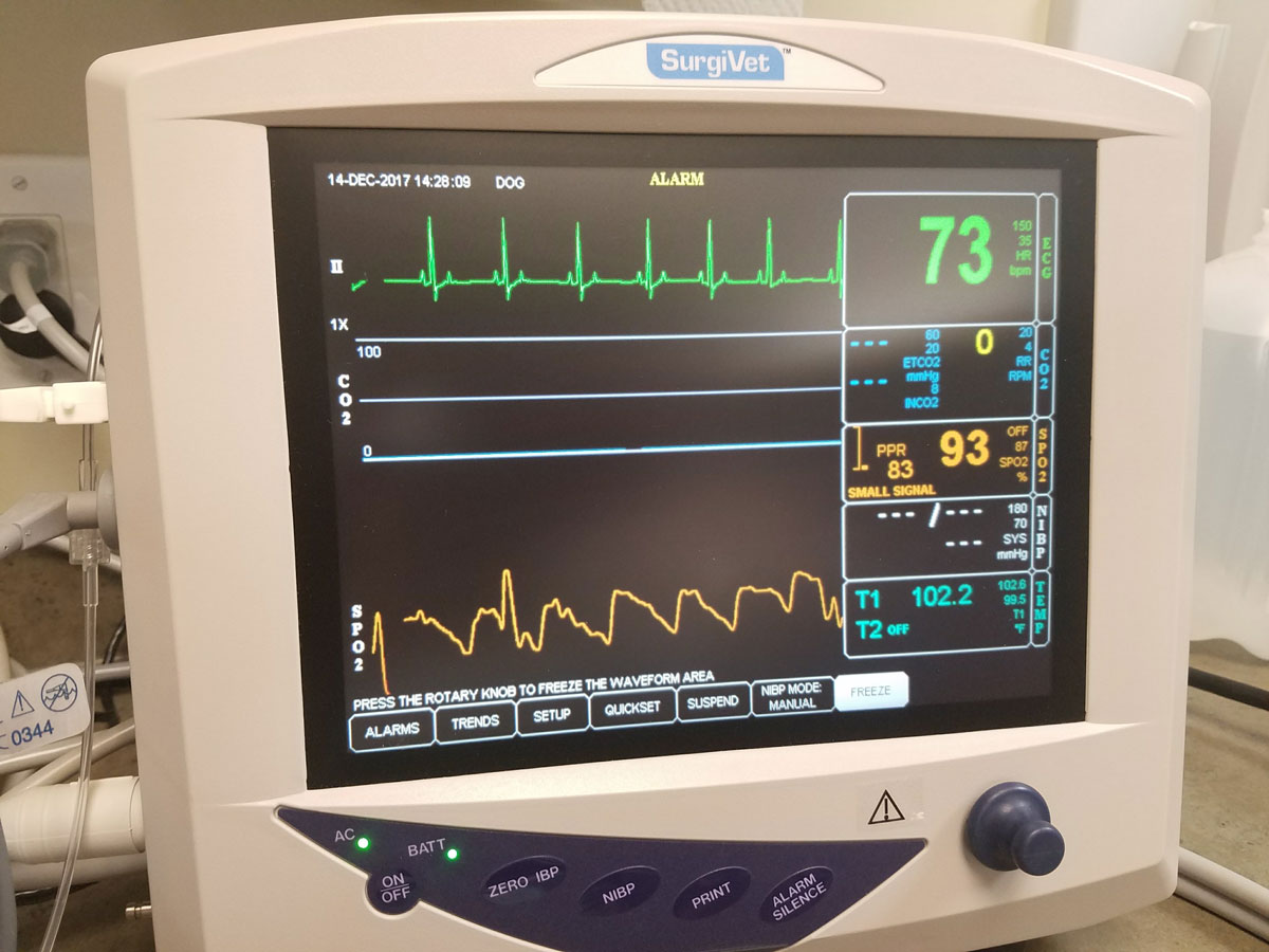 Medical Monitor