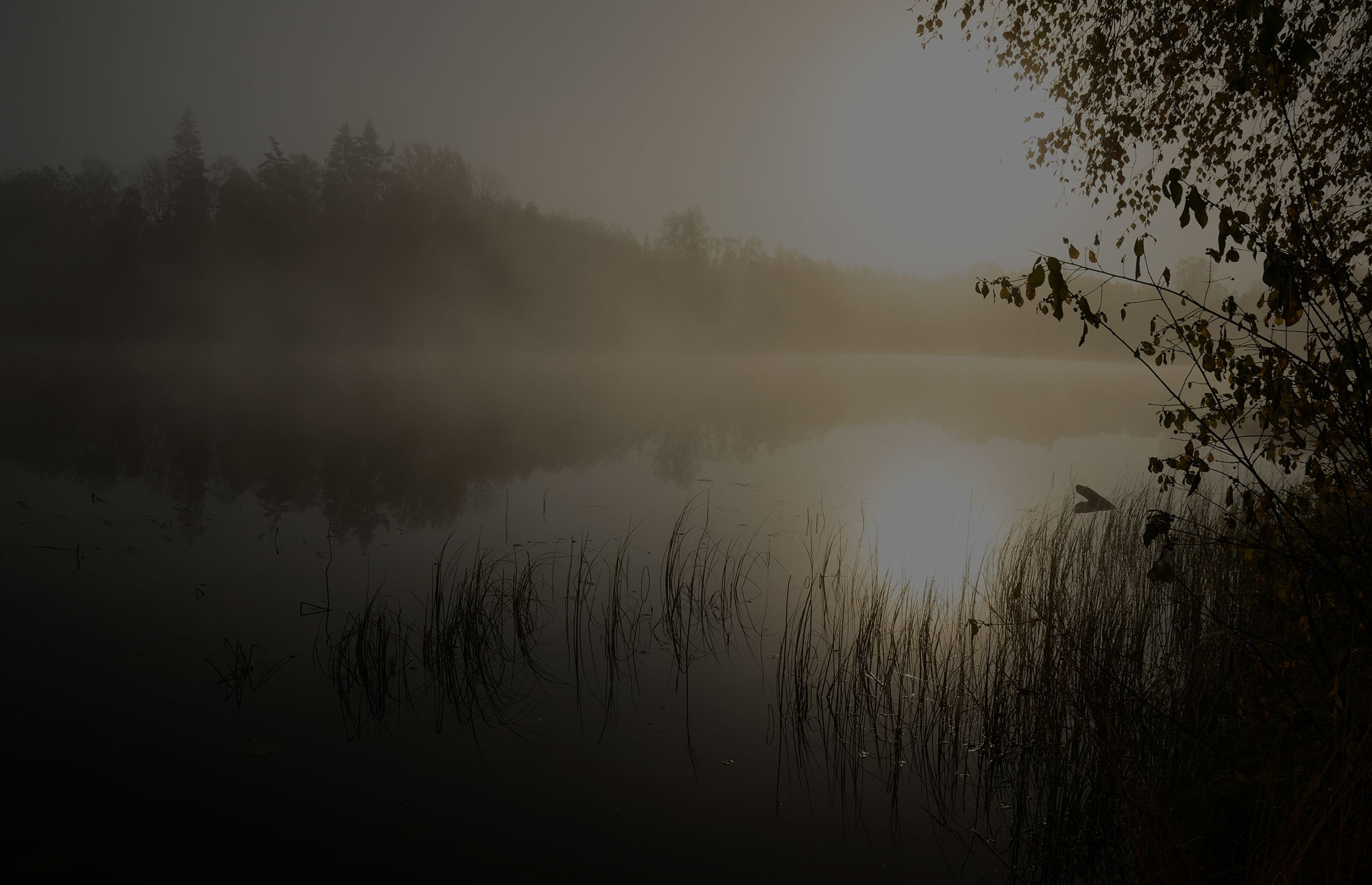 Morning's fog over the lake